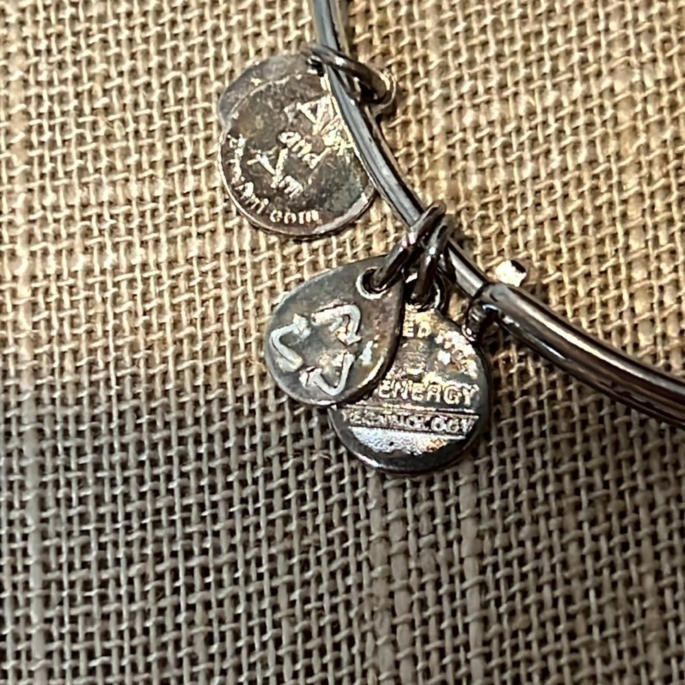 Alex & Ani January Birthstone Bracelet - Picture 3 of 6